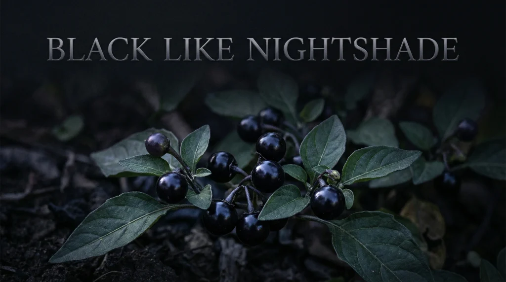 Black Like Nightshade