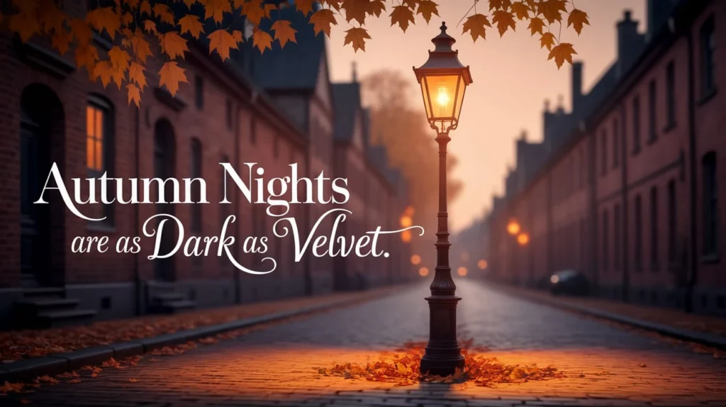 Autumn nights are as dark as velvet