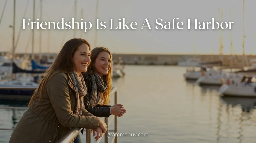 Friendship Is Like A Safe Harbor