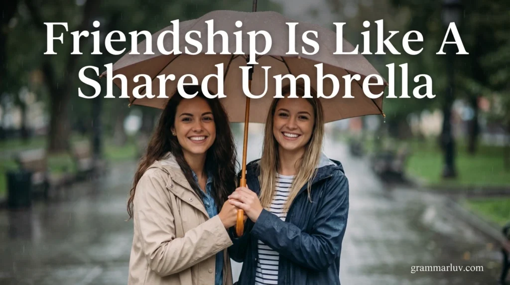 Friendship Is Like A Shared Umbrella