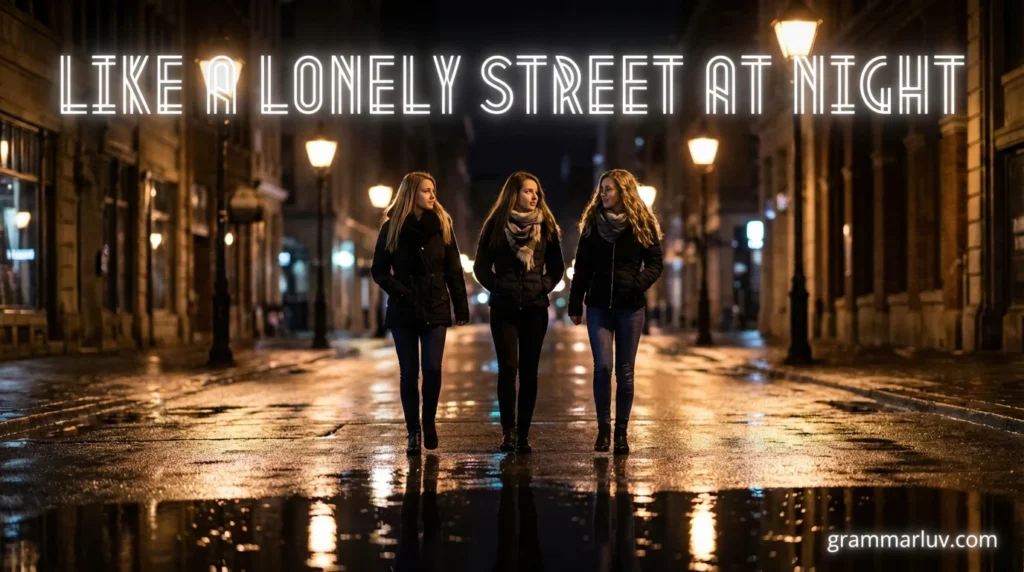 Like A Lonely Street At Night