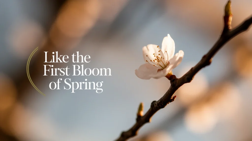 Like the first bloom of spring