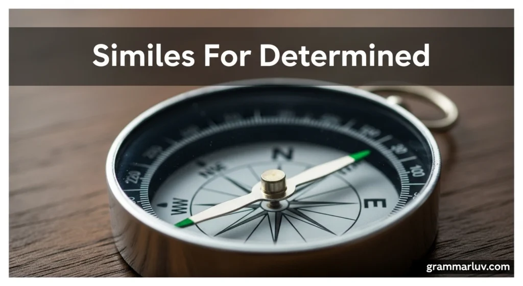 Similes For Determined