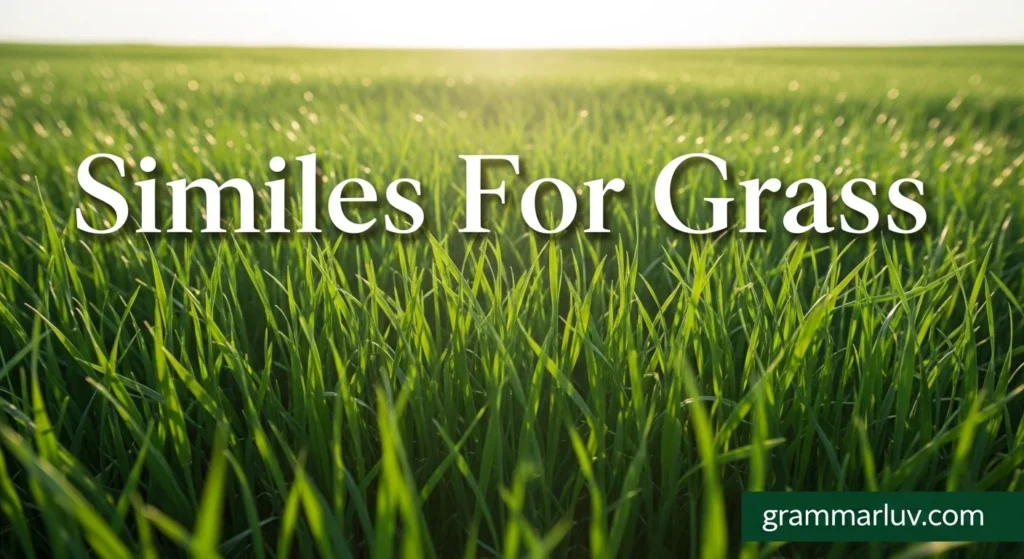 Similes For Grass