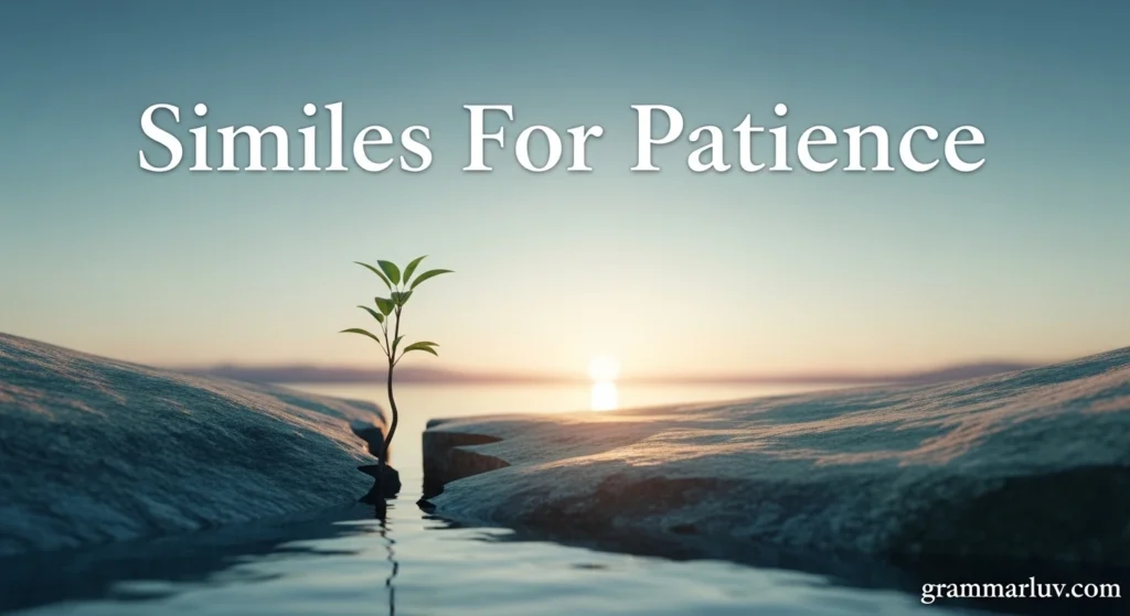 Similes For Patience