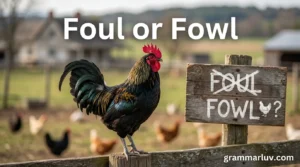 Foul or Fowl