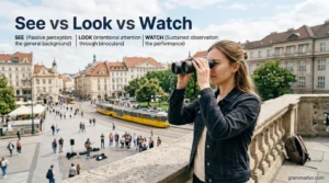 See vs Look vs Watch